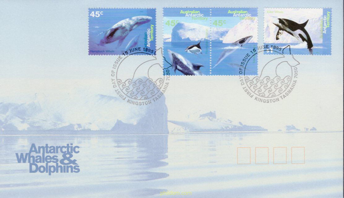 CETACEOS