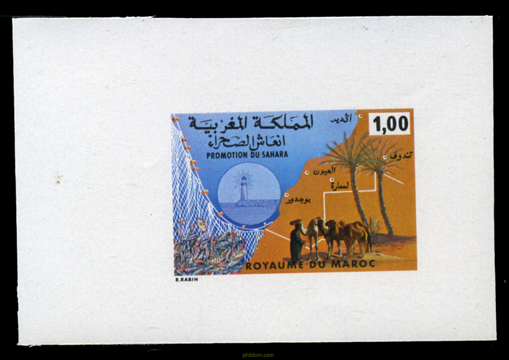 PROMOCION DEL SAHARA