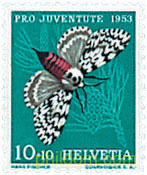 PRO JUVENTUD
