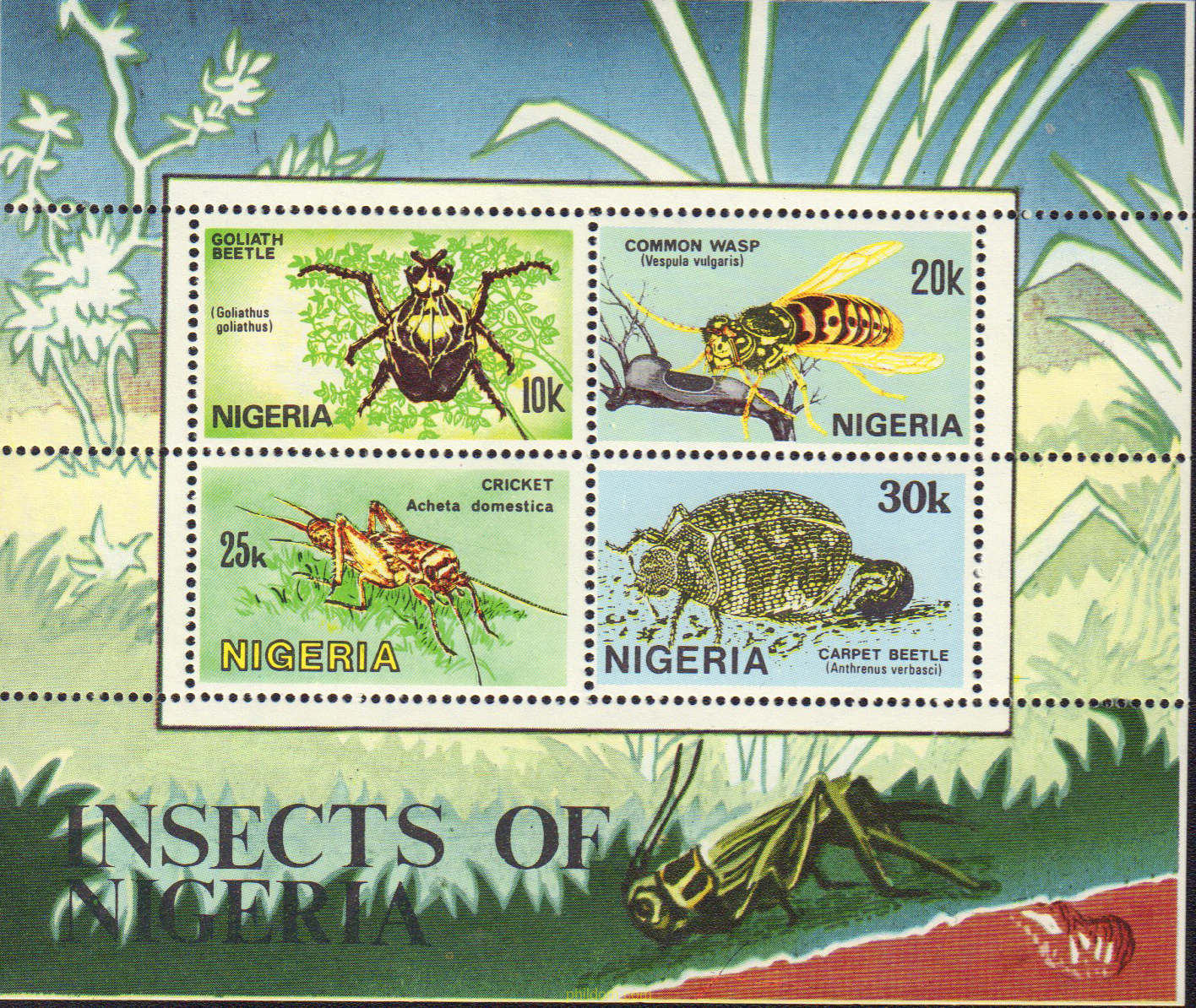 INSECTOS