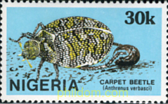INSECTOS