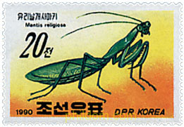 INSECTOS