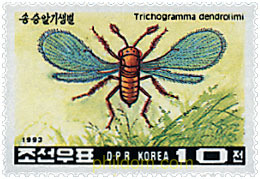 INSECTOS