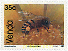 ABEJAS