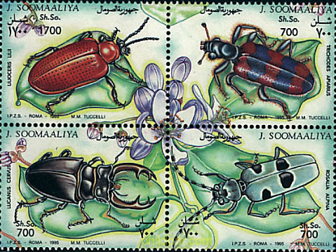 INSECTOS