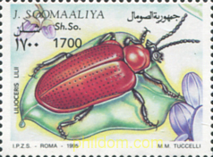 INSECTOS