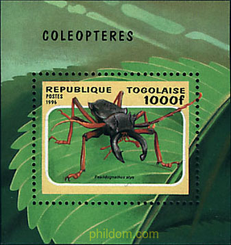 COLEOPTERO