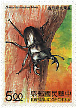 INSECTOS