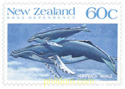 BALLENAS