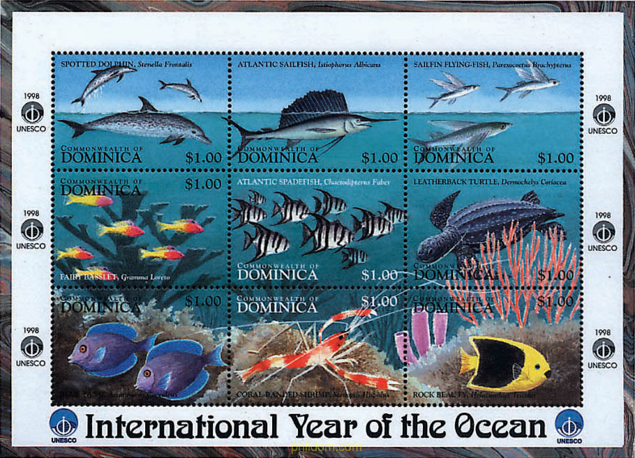 AÑO INTERNACIONAL DE LOS OCEANOS