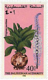 PLANTAS MEDICINALES
