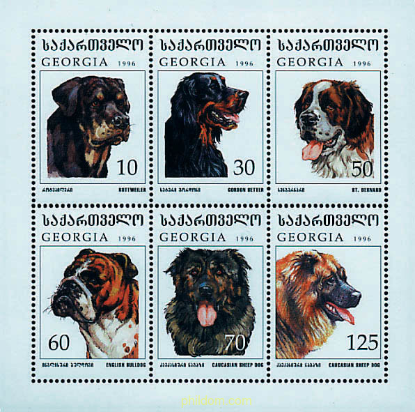 PERROS DE RAZA
