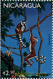 FAUNA DE AMERICA CENTRAL