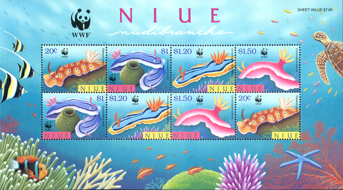 NUDIBRANQUIOS
