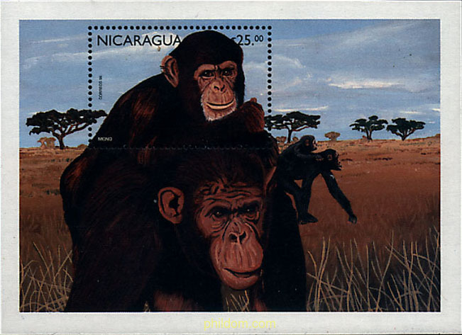 PROTECCION DE LA FAUNA