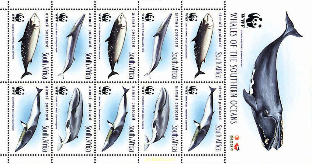 BALLENAS
