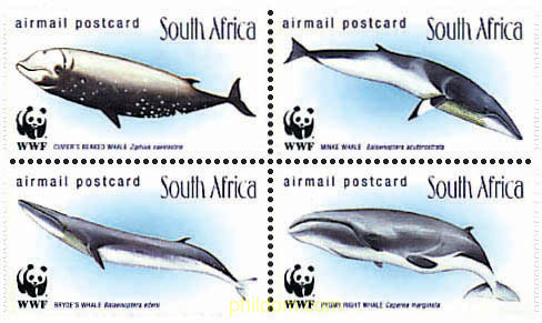BALLENAS