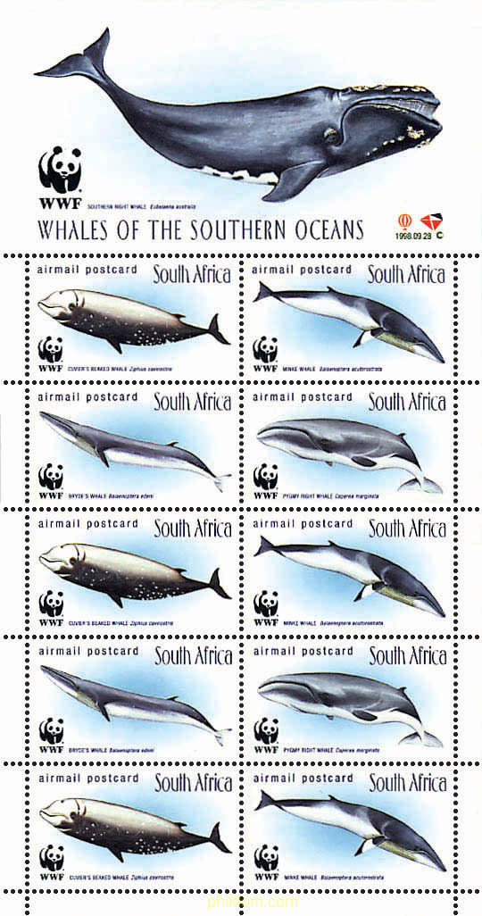 BALLENAS