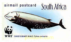 BALLENAS