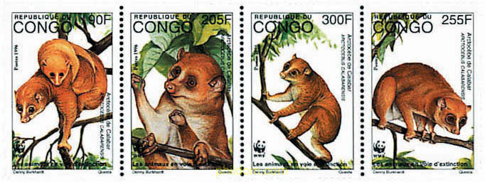 ANGUANTIBO