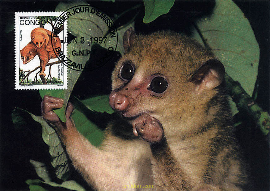 ANGUANTIBO