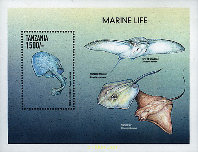 FAUNA MARINA