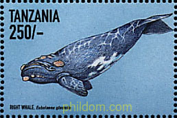 FAUNA MARINA ABISAL