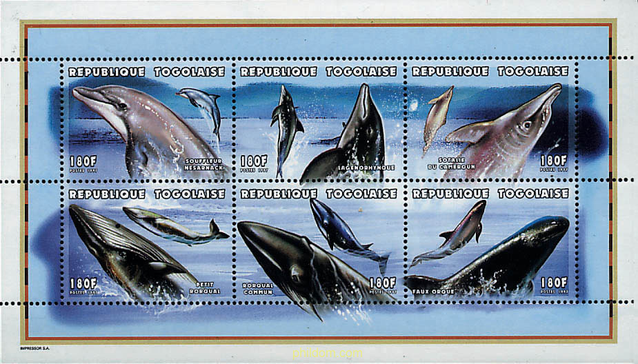 90 ANIVERSARIO DE LA ORGANIZACION INTERNACIONAL DE LA HISTORIA NATURAL