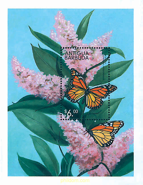 MARIPOSAS
