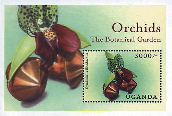 ORQUIDEAS DE UGANDA