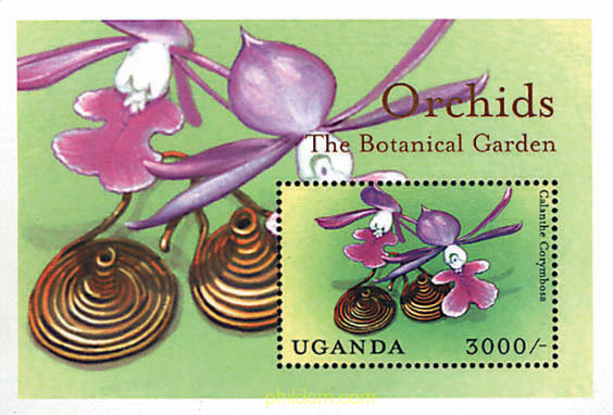 ORQUIDEAS DE UGANDA