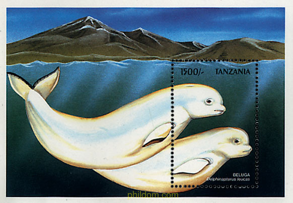 FAUNA MARINA