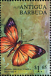 MARIPOSAS DE ANTIGUA