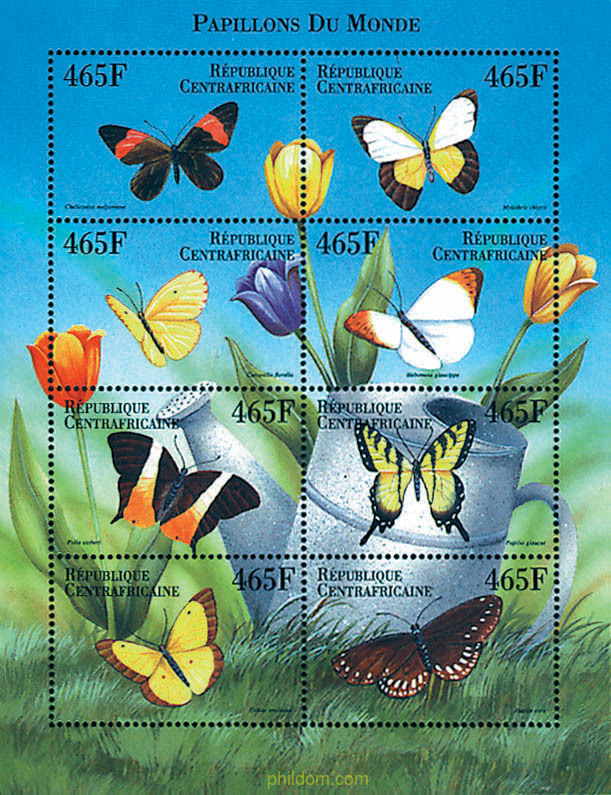 MARIPOSAS DEL MUNDO