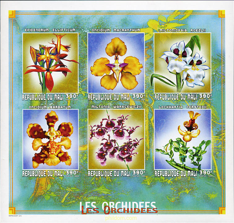ORQUIDEAS