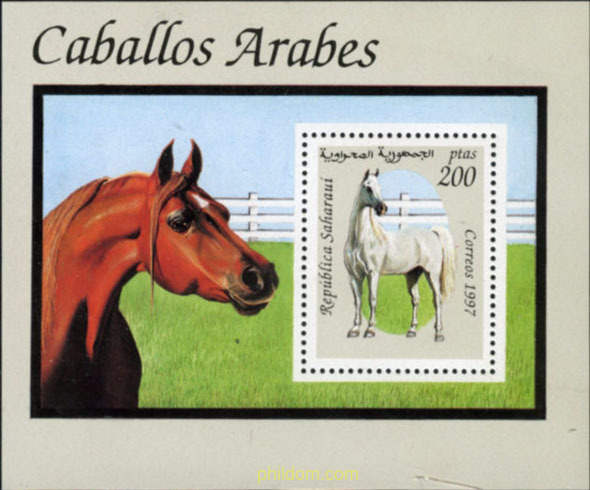 CABALLO