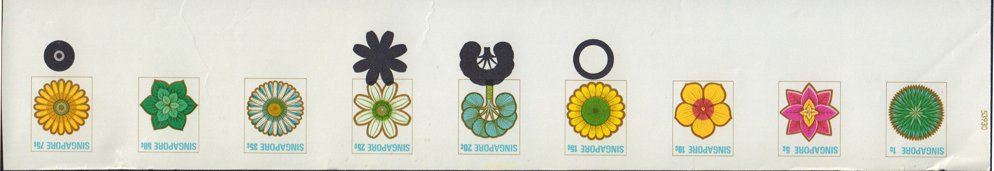 FLORES Y FRUTOS
