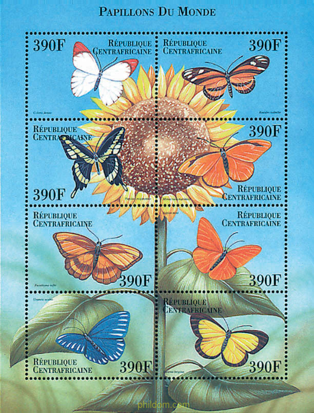 MARIPOSAS DEL MUNDO