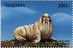 FAUNA MARINA
