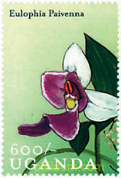 ORQUIDEAS DE UGANDA