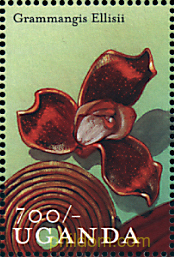ORQUIDEAS DE UGANDA