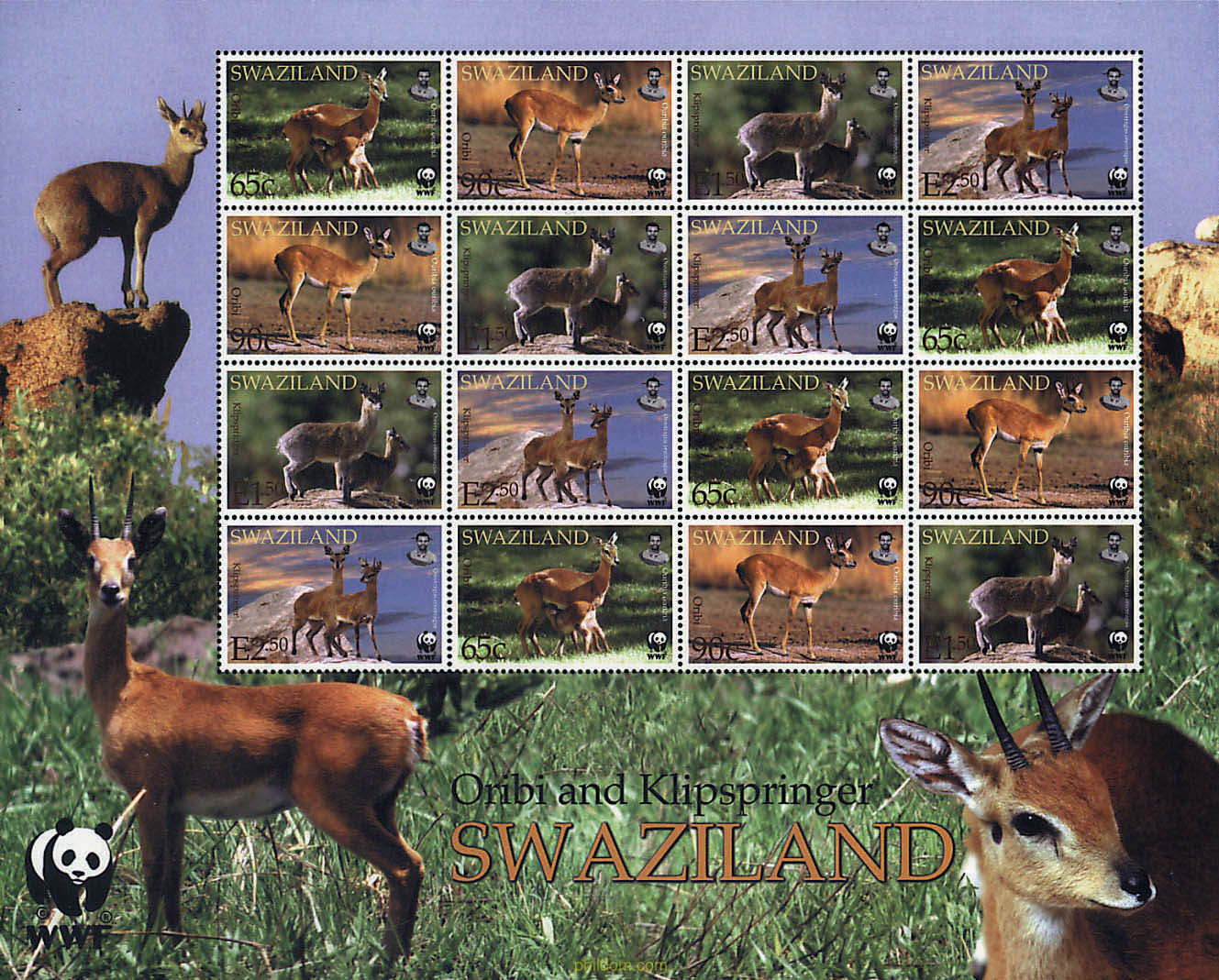 ORIBI, KLIPSPRINGER