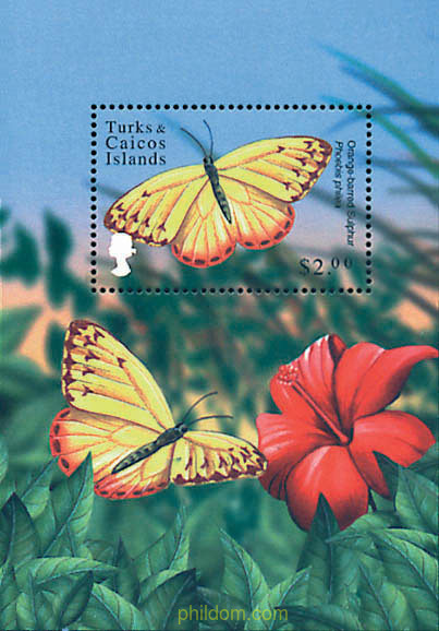 MARIPOSAS
