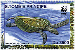 TORTUGA GOLFINA