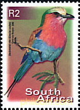 FAUNA Y FLORA
