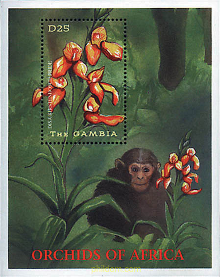 ORQUIDEAS