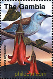 FLORES DE AFRICA