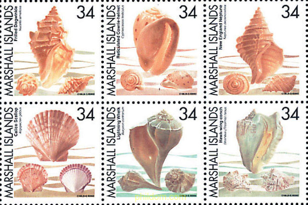 CONCHAS