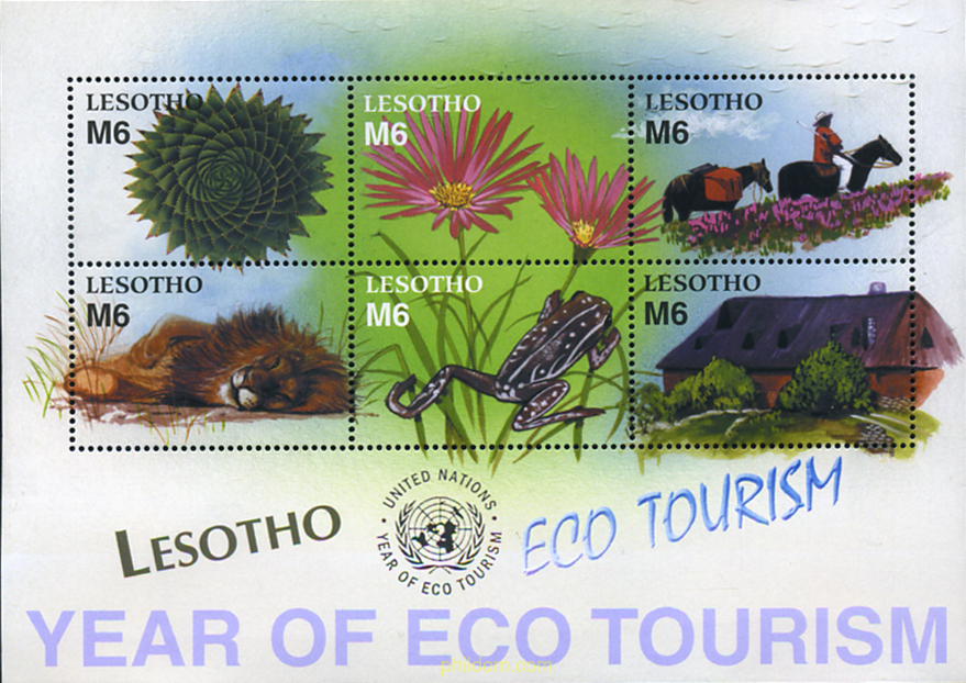 AÑO DEL ECO-TURISMO