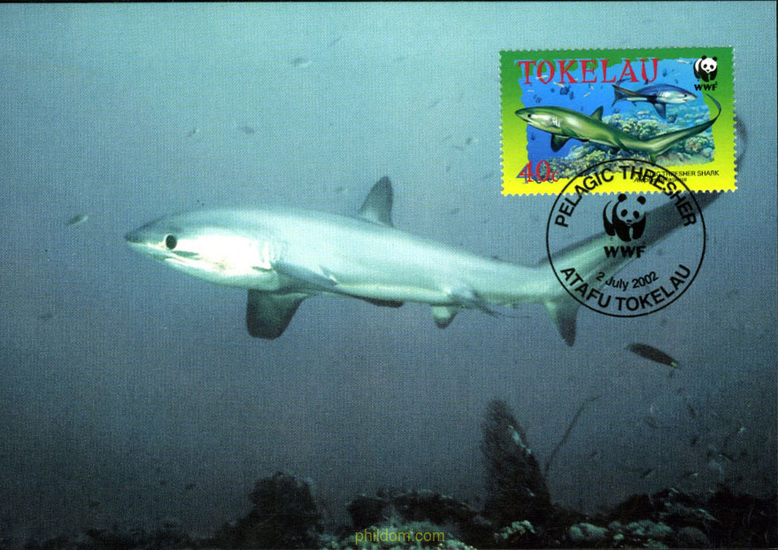 PROTECCION DE LA NATURALEZA. ALOPIUS PELAGICUS